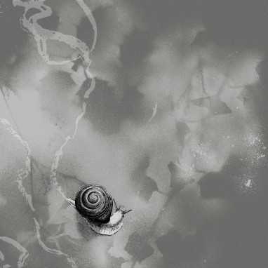 Rats on Rafts – Deep Below