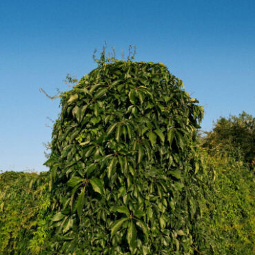 Mike Majkowski – August/November